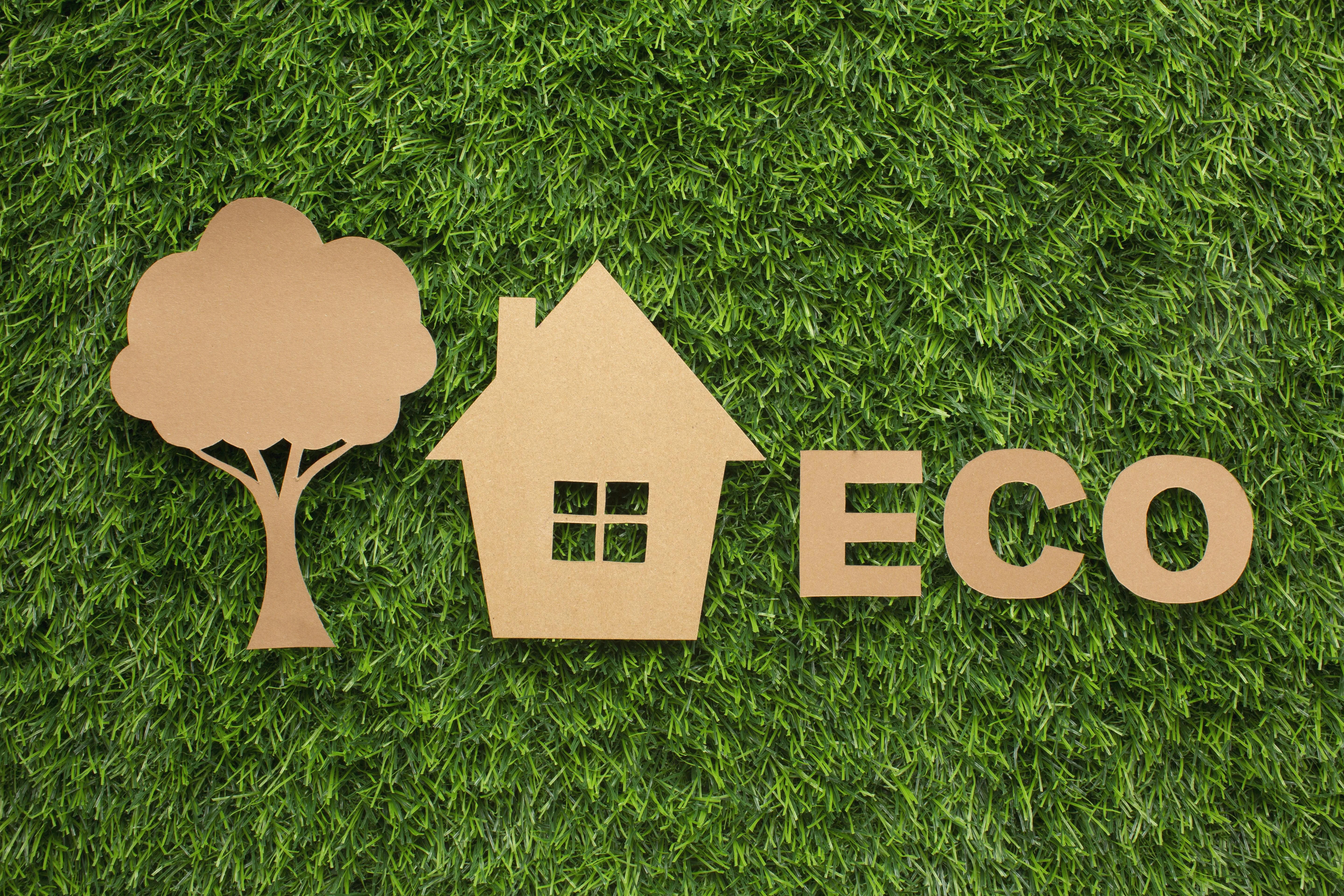 Sustainable Living: Eco-Friendly Homes on the Rise